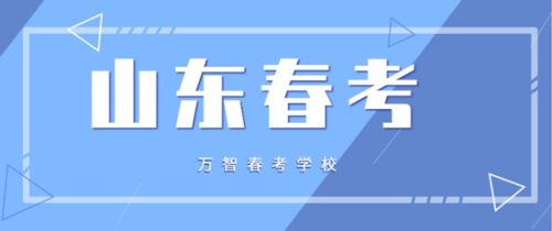 參加春季高考學(xué)信息技術(shù)專業(yè) 數(shù)字技術(shù)服務(wù)的就業(yè)前景與方向